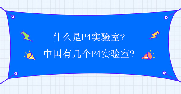 什么是P4实验室?中国有几个P4实验室