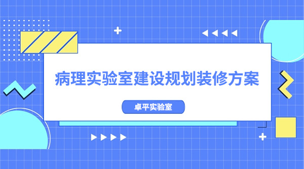 病理实验室建设规划(病理实验室装修方案)